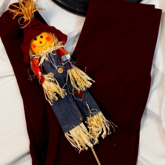 Cato Pants - Cato burgundy leggings